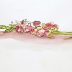 色々なスケッチ／28×48cm／水彩絵の具