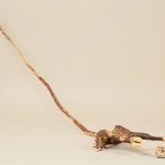 小さな命の戦い／（大）54.5×17×130cm　（小）3×15×6cm／（大）木・身辺材　（小）石・草・身辺材