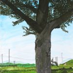 逆光の桜／53.5×37.5cm／アクリル絵の具