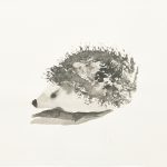 ハリネズミ／27×39㎝／墨
