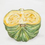 野菜のスケッチ／21.5×28cm／鉛筆・アクリル絵の具