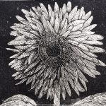 夏のひまわり／26×36.5cm／版画インク